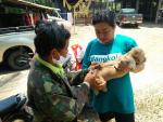 โครงการขับเคลื่อนตามโครงการสัตว์ปลอดโรค คนปลอดภัย จากโรคพิษสุนัขบ้า...